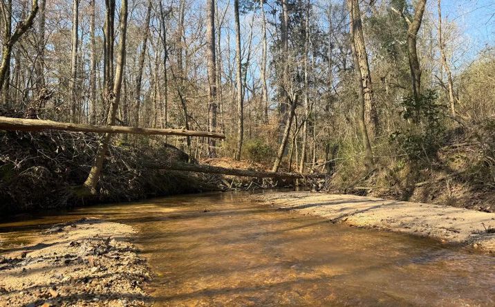 Pictures of Land property located at Railroad Lane, 150243, MS 39149 for sales - image #1