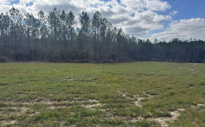 Pictures of Land property located at Smiley Honea Road, 70065, MS 39652 for sales - image #1