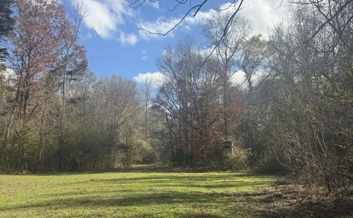 Pictures of Land property located at McKenzie Road, 71112, MS 39667 for sales - image #1