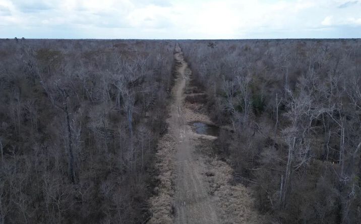 Pictures of Land property located at 2599 Martin Tram Road, 51796, LA 70655 for sales - image #1