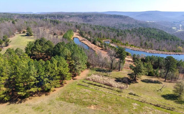 Pictures of Land property located at 338 NC 1814, 7805, AR 72624 for sales - image #1