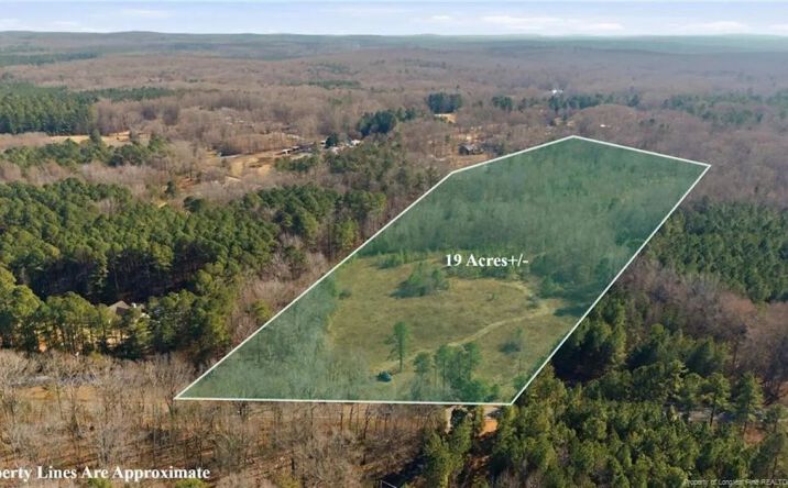 Pictures of Land property located at 1600 Mt. Willing Road, 91131, NC 27243 for sales - image #1