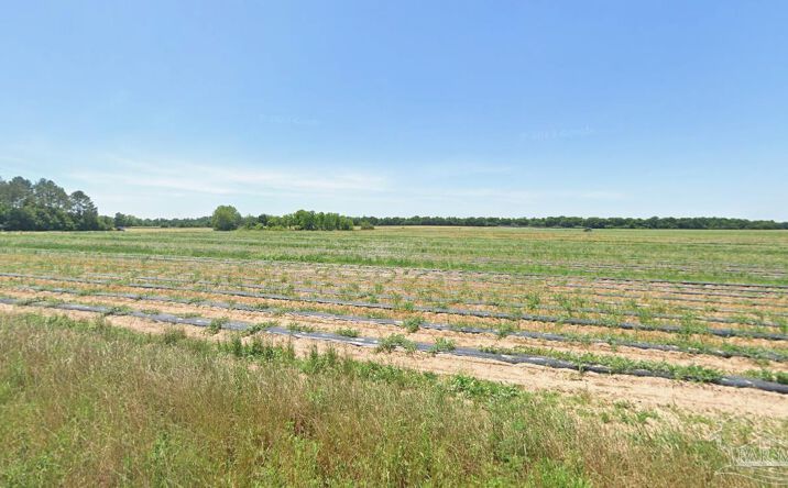 Pictures of Land property located at 0 Russell Wade Rd, Jay, FL 32565 for sales - image #1