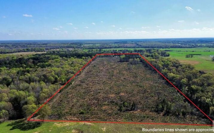 Pictures of Land property located at 1916 County Road 4241, 125013, TX 75559 for sales - image #1