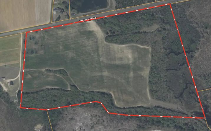 Pictures of Land property located at TBD Firetower Road, 117066, SC 29146 for sales - image #1