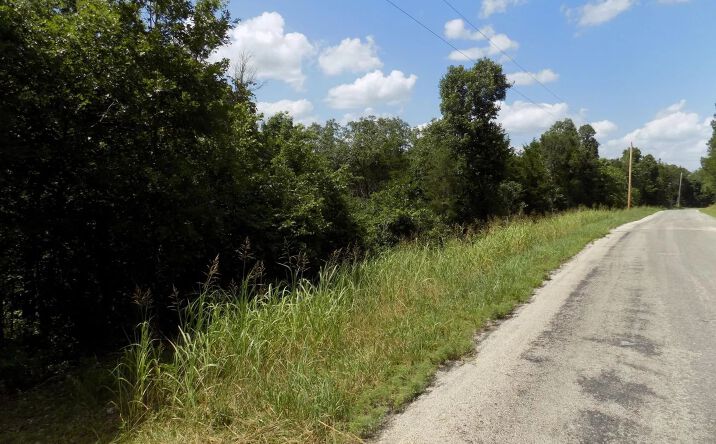 Pictures of Land property located at TBD Ripplewood Drive, 128058, TX 75462 for sales - image #1
