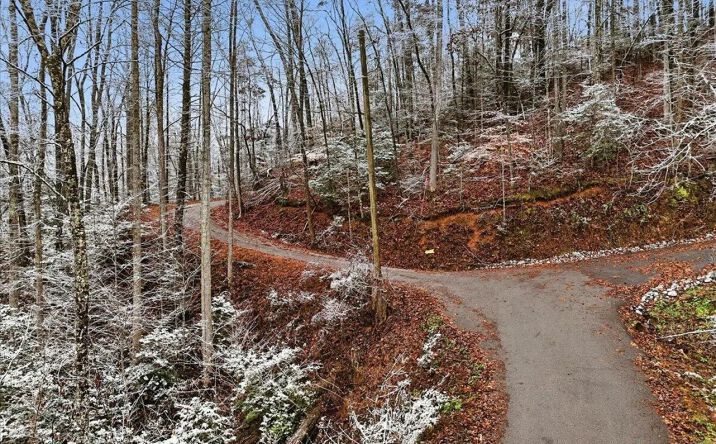 Pictures of Land property located at Par 202.03 Autumn Lane, 120227, TN 37738 for sales - image #1