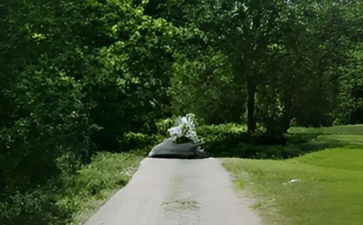 Pictures of Land property located at 6430 NE 150 Private Road, 74313, MO 64776 for sales - image #1