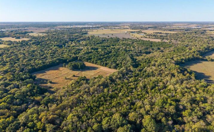 Pictures of Land property located at TBD County Road 2226, 124328, TX 75135 for sales - image #1