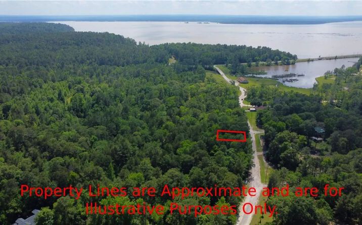 Pictures of Land property located at TBD Port Boulevard, 129685, TX 75862 for sales - image #1