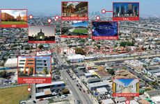 31561591