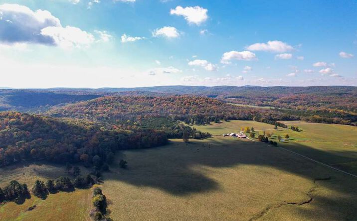 Pictures of Industrial, Land property located at 000 Iron CR 20A, Belleview, MO 63623 for sales - image #1