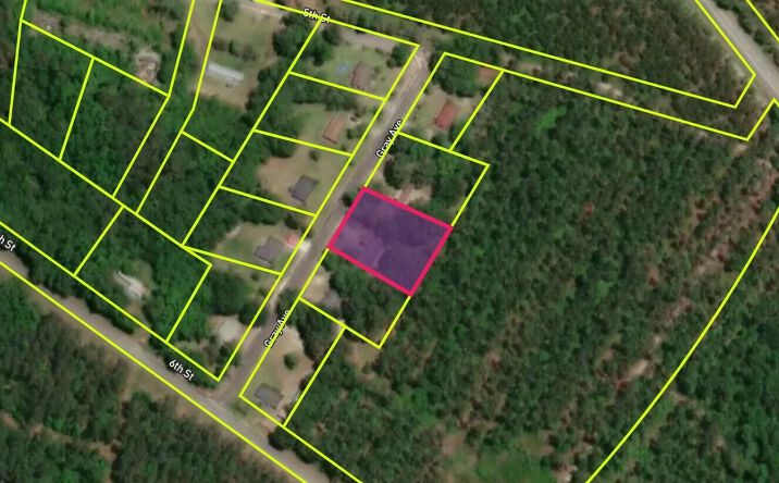 Pictures of Land, Mixed Use, Mobile Home Park, Multifamily property located at 73 State Rd S-5-528, Olar, SC 29843 for sales - image #1