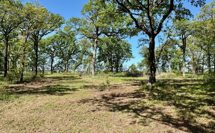 Pictures of Land property located at 12244 Longboard Loop, Kingston, OK 73439 for sales - image #1