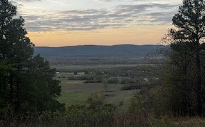 Pictures of Land property located at Norris Road, Red Oak, OK 74563 for sales - image #1