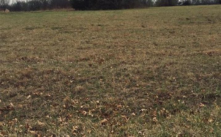 Pictures of Land, Special Purpose property located at 22 Fox Run Drive, Mound City, KS 66056 for sales - image #1