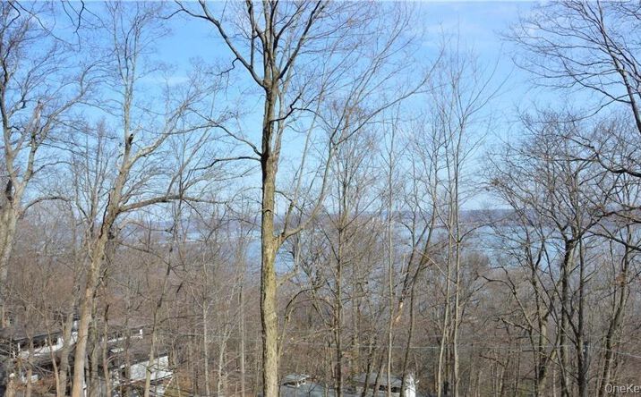 Pictures of Land property located at 242 Tweed Boulevard, Orangetown, NY 10960 for sales - image #1