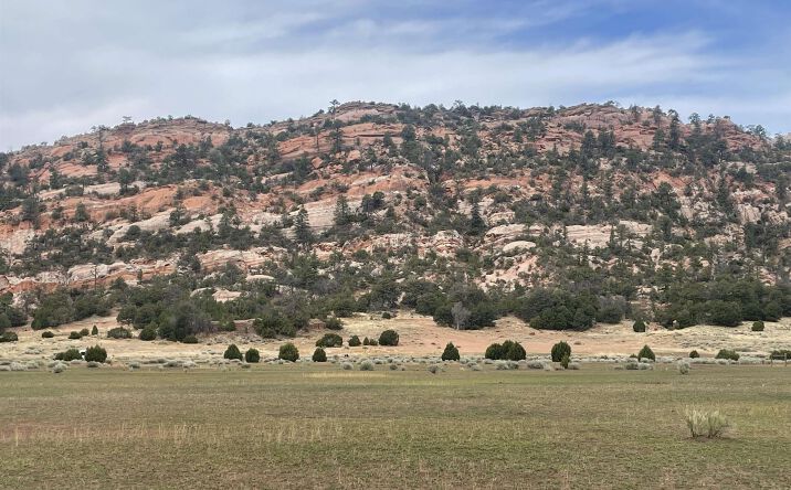 Pictures of Land property located at TBD Box S Ranch Road, Ramah, NM 87321 for sales - image #1
