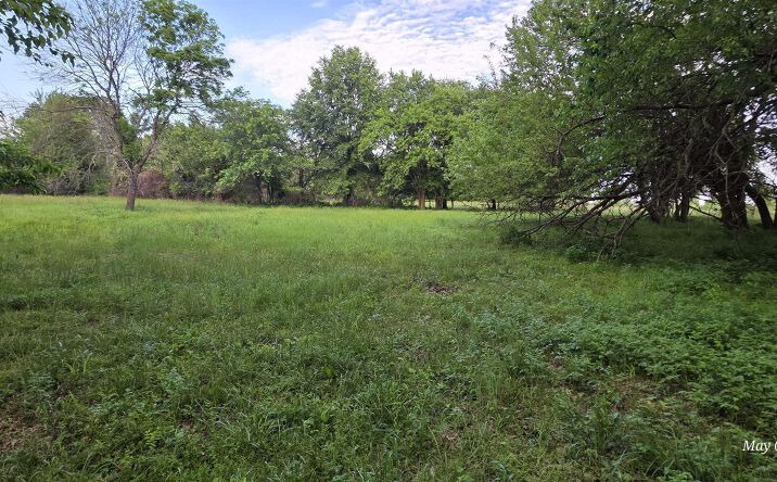 Pictures of Land property located at 112 SE 315P, Clinton, MO 64735 for sales - image #1