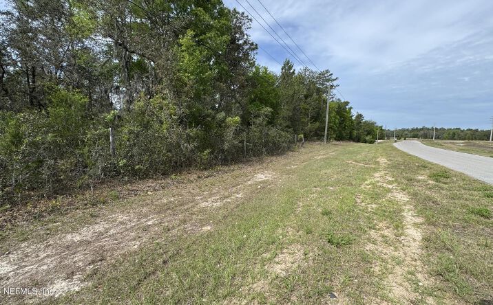 Pictures of Land property located at 0 STATE ROAD 20, Interlachen, FL 32148 for sales - image #1