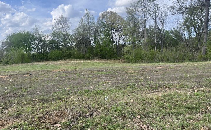 Pictures of Land property located at 63 Max Ln Drive, Jackson, TN 38305 for sales - image #1