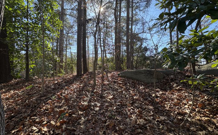 Pictures of Land property located at 0 Stone Rd SW, Atlanta, GA 30331 for sales - image #1