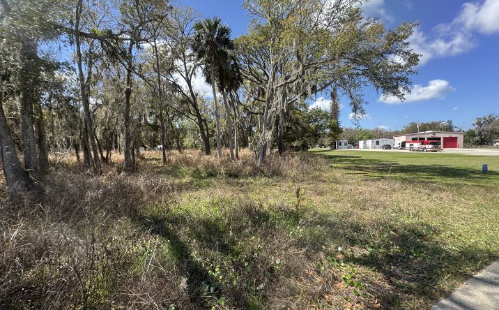 Pictures of Land property located at Wallace Rd, New Smyrna Beach, FL 32168 for sales - image #1