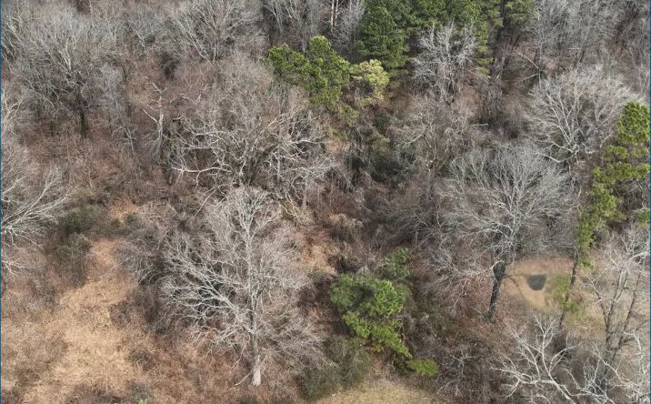 Pictures of Land property located at McMillan Drive, 69725, MS 38635 for sales - image #1