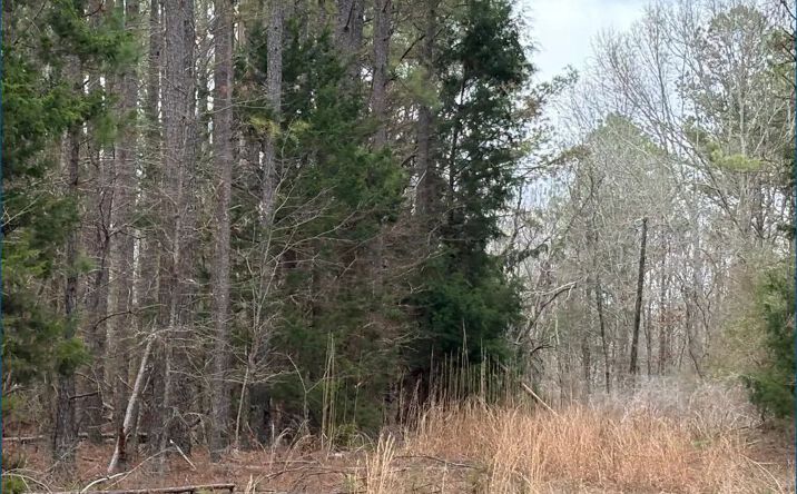 Pictures of Land property located at County Road 2211, 69897, MS 39090 for sales - image #1