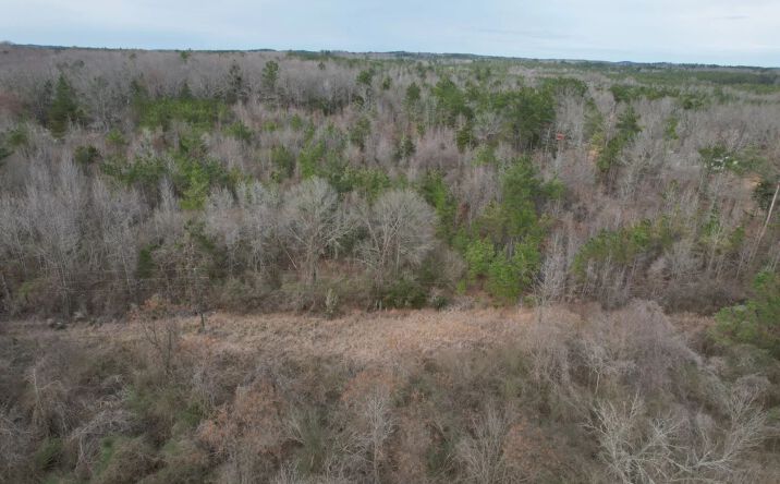 Pictures of Land property located at Gordon Road, 69274, MS 38925 for sales - image #1