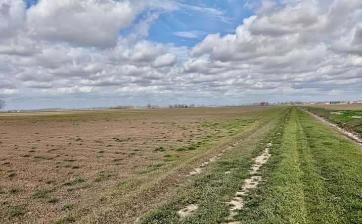 Pictures of Land property located at Cleveland Crossing Road, 69067, MS 38732 for sales - image #1