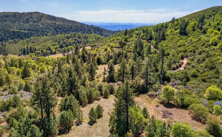 Pictures of Land property located at 200 Palomar Divide Truck Trail, Palomar Mountain, CA 92060 for sales - image #1