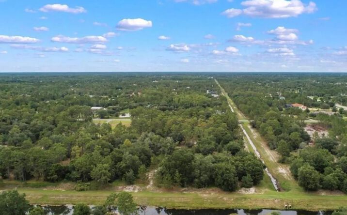 Pictures of Land property located at Lot 1120 QUARTERLY PARKWAY, 24054, FL 32833 for sales - image #1