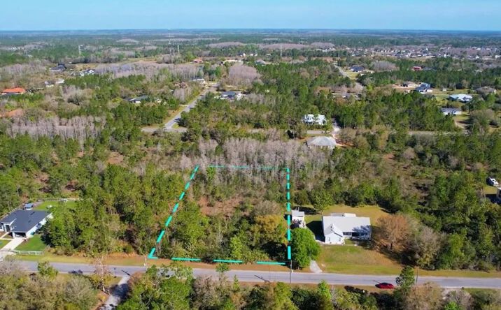 Pictures of Land property located at Lot 19 ODHAM STREET, 24054, FL 32833 for sales - image #1