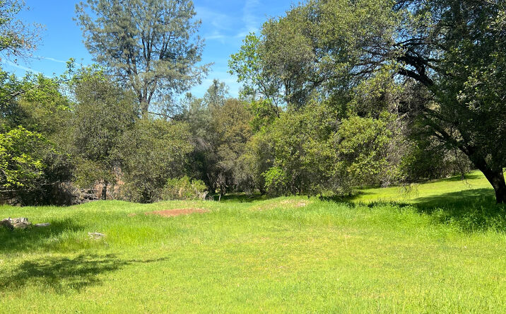 Pictures of Land property located at NEC of Lime Kiln Road and China Garden Road, Diamond Springs, CA 95667 for sales - image #1