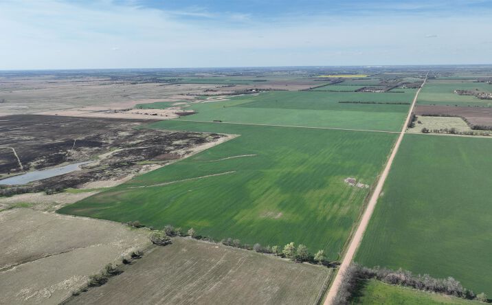 Pictures of Land property located at 0000 E Castleton Rd, Haven, KS 67543 for sales - image #1