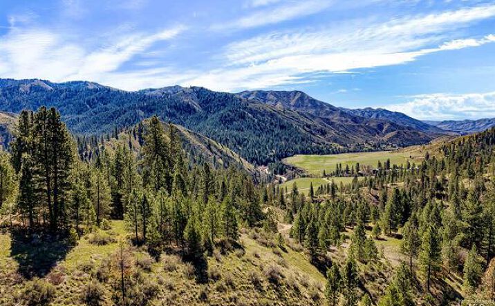 Pictures of Land property located at TBD Chapman Lane (PARCEL #1), Boise, ID 83716 for sales - image #1