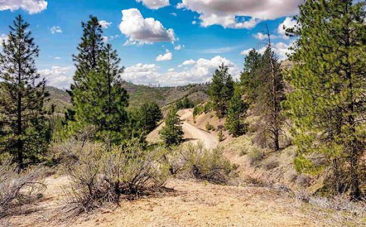 Pictures of Land property located at LOT 16 Napias Sub, North Fork, ID 83716 for sales - image #1