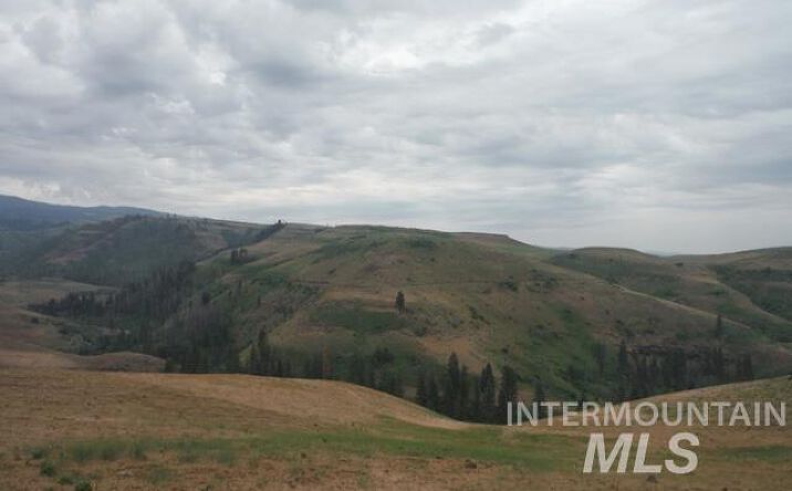 Pictures of Land property located at Lot 4 Middle Fork Rd, Council, ID 83612 for sales - image #1