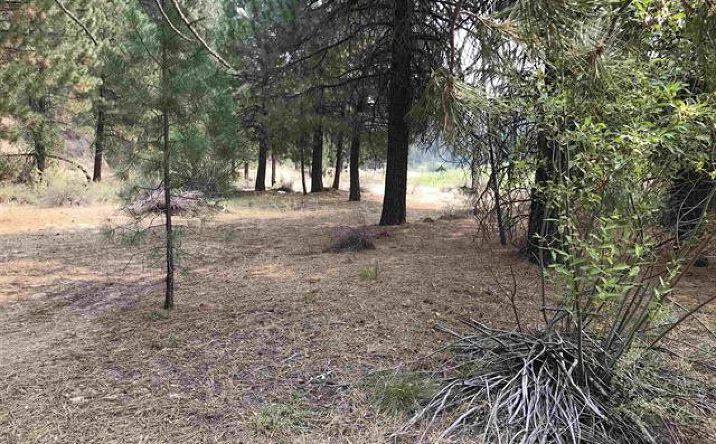Pictures of Land property located at 27 Meadow Creek Rd, Idaho City, ID 83631 for sales - image #1
