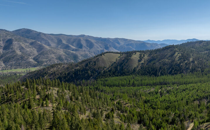 Pictures of Land property located at Lolo Peak Shadows, Lolo, MT 59847 for sales - image #1