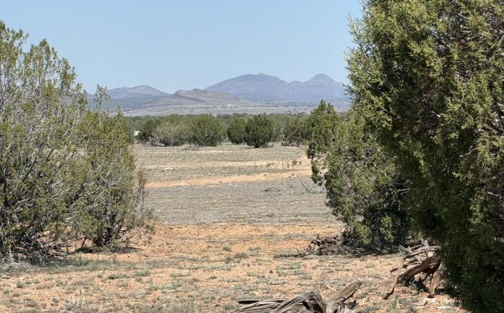 Pictures of Land, Multifamily property located at W26 Prairie Dog Road, Ash Fork, AZ 86320 for sales - image #1
