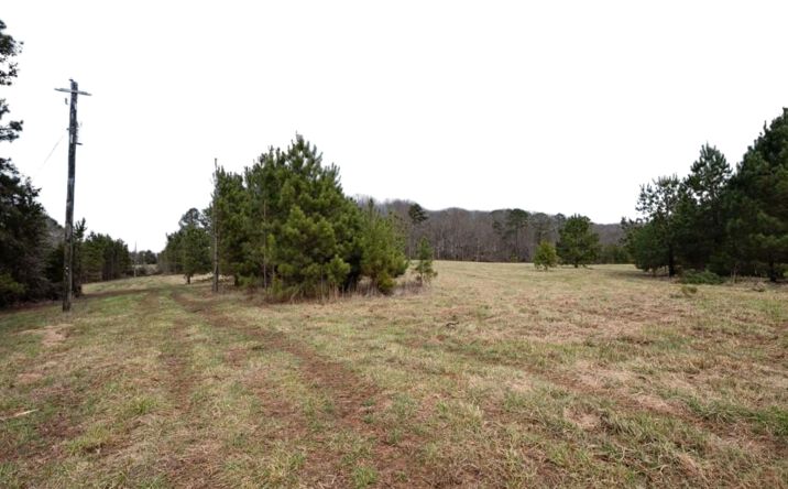 Pictures of Land property located at Tract Two High Shoals Rd, Bishop, GA 30621 for sales - image #1