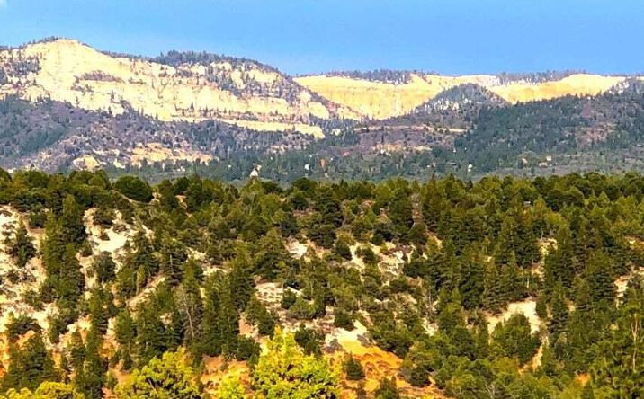 Pictures of Land property located at 5.02 Acres Francis Street, Duck Creek, UT 84762 for sales - image #1