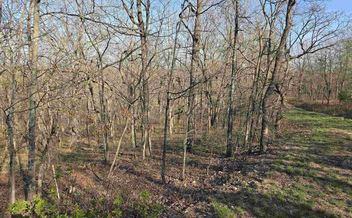 Pictures of Land, Special Purpose property located at Galvin, Edwards, MO 65326 for sales - image #1
