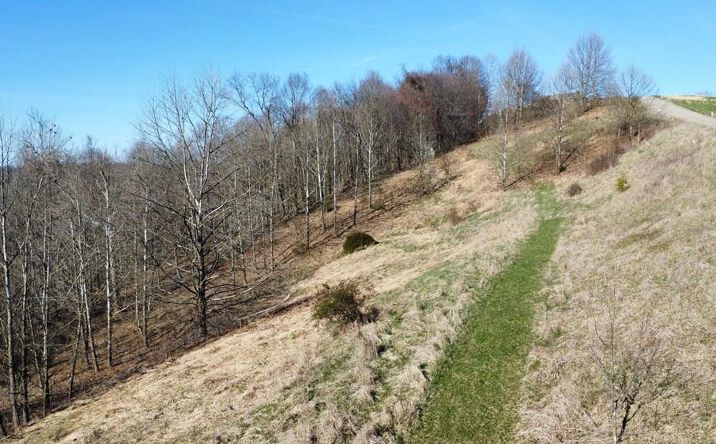 Pictures of Land property located at TBD Castlyn Dr, Bethlehem, WV 26003 for sales - image #1