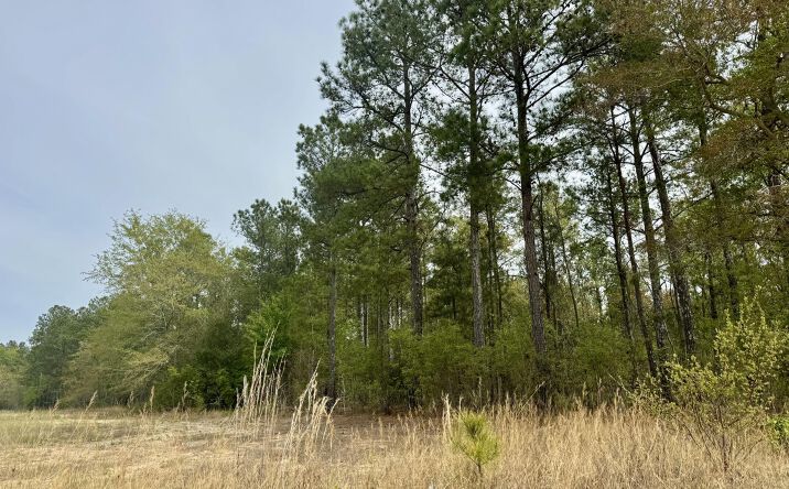 Pictures of Land, Multifamily, Special Purpose property located at Goose Platter Road, Monetta, SC 29105 for sales - image #1
