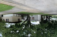 31554678