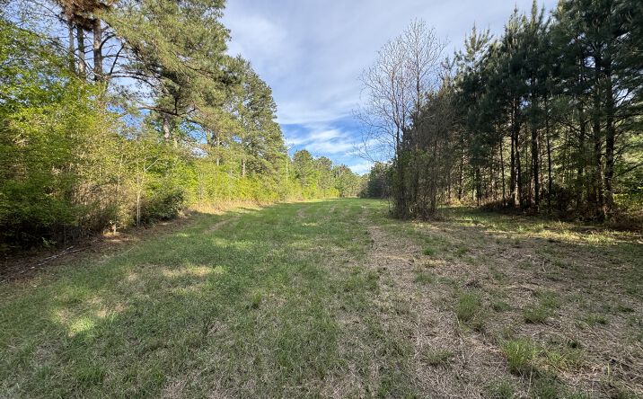 Pictures of Land property located at 1311 N Jackson St, Brookhaven, MS 39601 for sales - image #1