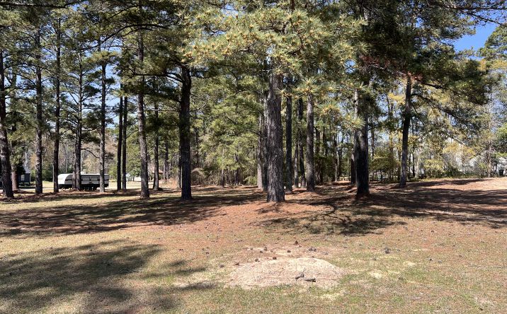 Pictures of Land property located at Murdocksville Rd, West End, NC 27376 for sales - image #1